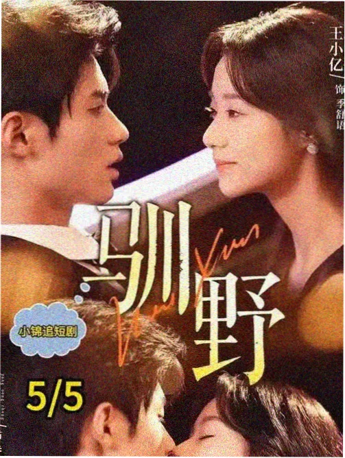 条目H-006山中邮局电视动画封面：雾色山谷里的木屋与灯